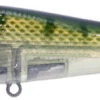 River2Sea ICBM 120 Hard Stickbait/Glidebait -Pro Tackle Store 06BlueGill
