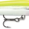 Rapala Down Deep Husky Jerk 10 Deep Diving Jerkbait 2 Rapala Down Deep Husky Jerk 10 Deep Diving Jerkbait -Pro Tackle Store 12564593410103