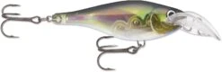 Rapala Scatter Rap Glass Shad 07 Deep Diving Crankbait -Pro Tackle Store 12565925658679