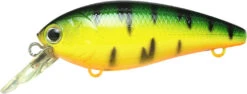 Lucky Craft Moonsault CB-100 Shallow Diving Crankbait 30 Lucky Craft Moonsault CB-100 Shallow Diving Crankbait -Pro Tackle Store 13025143128119