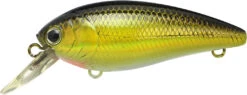 Lucky Craft Moonsault CB-100 Shallow Diving Crankbait 31 Lucky Craft Moonsault CB-100 Shallow Diving Crankbait -Pro Tackle Store 13025143160887