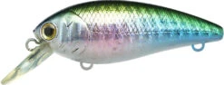 Lucky Craft Moonsault CB-100 Shallow Diving Crankbait 41 Lucky Craft Moonsault CB-100 Shallow Diving Crankbait -Pro Tackle Store 13025143488567