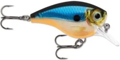 Rapala BX Big Brat 2 3/4 Inch Square Bill Crankbait -Pro Tackle Store 31321538363481