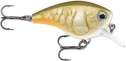 Rapala BX Big Brat 2 3/4 Inch Square Bill Crankbait -Pro Tackle Store 31321538396249