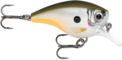 Rapala BX Big Brat 2 3/4 Inch Square Bill Crankbait -Pro Tackle Store 31321538461785