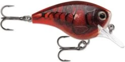 Rapala BX Big Brat 2 3/4 Inch Square Bill Crankbait -Pro Tackle Store 31321538527321