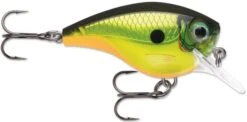 Rapala BX Big Brat 2 3/4 Inch Square Bill Crankbait -Pro Tackle Store 31321538592857