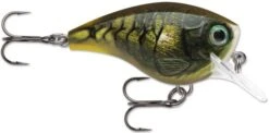 Rapala BX Big Brat 2 3/4 Inch Square Bill Crankbait -Pro Tackle Store 31321538658393