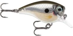 Rapala BX Big Brat 2 3/4 Inch Square Bill Crankbait -Pro Tackle Store 31321538691161