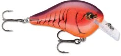 Rapala DT Fat 03 Shallow Square Bill Crankbait -Pro Tackle Store 31333941149785