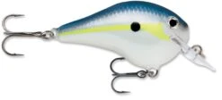 Rapala DT Fat 03 Shallow Square Bill Crankbait -Pro Tackle Store 31333941182553