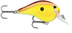 Rapala DT Fat 03 Shallow Square Bill Crankbait -Pro Tackle Store 31333941215321