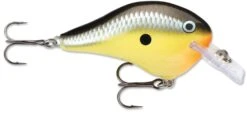 Rapala DT Fat 03 Shallow Square Bill Crankbait -Pro Tackle Store 31333941280857