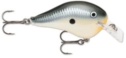 Rapala DT Fat 03 Shallow Square Bill Crankbait -Pro Tackle Store 31333941313625
