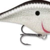 Rapala DT Fat 03 Shallow Square Bill Crankbait 1 Rapala DT Fat 03 Shallow Square Bill Crankbait -Pro Tackle Store 31333941346393