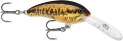 Rapala Shad Dancer SDD07 Deep Diving Crankbait -Pro Tackle Store 31340105138265