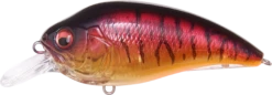 Megabass Super-Z Z-1 Medium Diving Crankbait -Pro Tackle Store 31680779092057