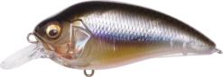 Megabass Super-Z Z-1 Medium Diving Crankbait -Pro Tackle Store 31680779124825