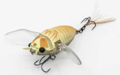 Chasebaits Ripple Cicada 1 3/4 Inch Wakebait Crawler -Pro Tackle Store 32233146843225