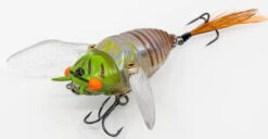 Chasebaits Ripple Cicada 1 3/4 Inch Wakebait Crawler -Pro Tackle Store 32233146875993