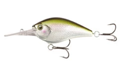 13 Fishing Cliff Banger Medium-Deep Diving Crankbait -Pro Tackle Store 32254099783769