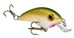 Strike King Pro Model Bitsy Minnow Ultralight Crankbait -Pro Tackle Store 39298391244889