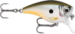 Rapala BX Mid-Brat 05 Squarebill Crankbait -Pro Tackle Store 39740178169945