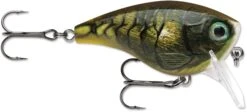 Rapala BX Mid-Brat 05 Squarebill Crankbait -Pro Tackle Store 39740178366553