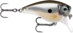 Rapala BX Mid-Brat 05 Squarebill Crankbait -Pro Tackle Store 39740178399321