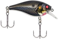 Berkley SquareBull 2 Inch Shallow Squarebill Crankbait -Pro Tackle Store 40319505465433