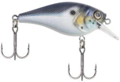 Berkley SquareBull 2 Inch Shallow Squarebill Crankbait -Pro Tackle Store 40319505498201