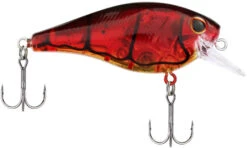 Berkley SquareBull 2 Inch Shallow Squarebill Crankbait -Pro Tackle Store 40319505662041