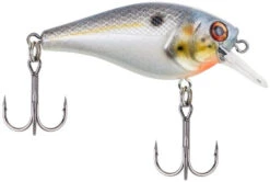 Berkley SquareBull 2 Inch Shallow Squarebill Crankbait -Pro Tackle Store 40319505760345