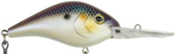 Berkley Dredger Deep Diving Crankbait Deeper Diving Models -Pro Tackle Store 40325002952793