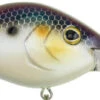 Berkley Dredger Deep Diving Crankbait Deeper Diving Models -Pro Tackle Store 40325003018329