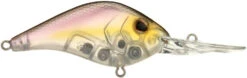 Berkley Dredger Deep Diving Crankbait Deeper Diving Models -Pro Tackle Store 40325003247705