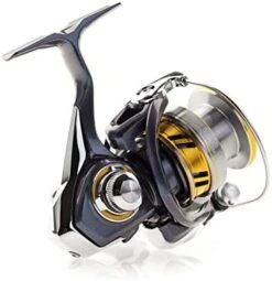 Daiwa Regal LT Spinning Reel -Pro Tackle Store 418E3HhhrIL. AC