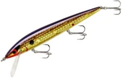 Smithwick Elite 8 Rogue 4 1/2 Inch Suspending Jerkbait -Pro Tackle Store ADR4213
