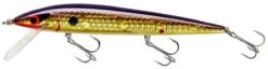 Smithwick Elite 8 Rogue 4 1/2 Inch Suspending Jerkbait -Pro Tackle Store ADR4213 427dcaa6 8bc9 4645 9527 5e6203b63ad1