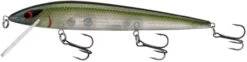 Smithwick Elite 8 Rogue 4 1/2 Inch Suspending Jerkbait -Pro Tackle Store ADR4281