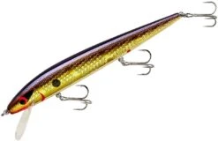 Smithwick Perfect 10 Rogue 5 1/2 Inch Deep Diving Suspending Jerkbait -Pro Tackle Store ADR5213