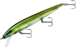 Smithwick Perfect 10 Rogue 5 1/2 Inch Deep Diving Suspending Jerkbait -Pro Tackle Store ADR5281