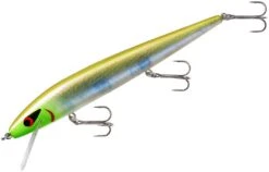 Smithwick Perfect 10 Rogue 5 1/2 Inch Deep Diving Suspending Jerkbait -Pro Tackle Store ADR5283
