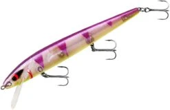 Smithwick Perfect 10 Rogue 5 1/2 Inch Deep Diving Suspending Jerkbait -Pro Tackle Store ADR5289