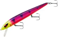 Smithwick Perfect 10 Rogue 5 1/2 Inch Deep Diving Suspending Jerkbait -Pro Tackle Store ADR5291