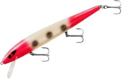 Smithwick Perfect 10 Rogue 5 1/2 Inch Deep Diving Suspending Jerkbait -Pro Tackle Store ADR5293