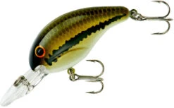Bandit 200 Series Medium Diving Crankbait -Pro Tackle Store BDT201