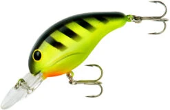 Bandit 200 Series Medium Diving Crankbait -Pro Tackle Store BDT206