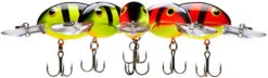 Bandit 200 Series Medium Diving Crankbait -Pro Tackle Store BDT258