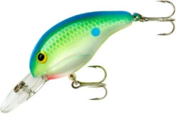 Bandit 200 Series Medium Diving Crankbait -Pro Tackle Store BDT2D01